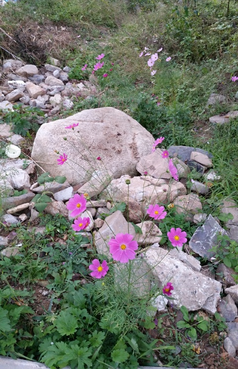 À̹ÌÁö¸¦ Ŭ¸¯ÇϽøé È®´ëÇØ¼ º¸½Ç ¼ö ÀÖ½À´Ï´Ù.
